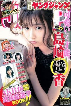电视剧女人的抉择全集